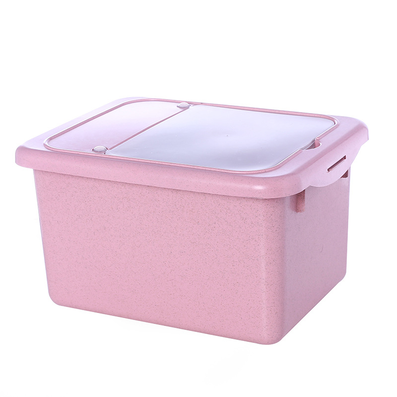Rice Bucket Storage Box